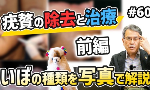 化瘀血的外用药-生血 化瘀的草药妇科用药网 :分享妇科用活血化瘀中成药-化血瘀的中草药知识